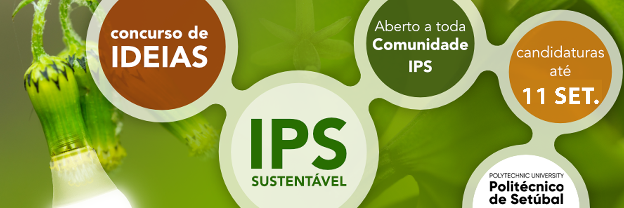 Concurso IPS Sustentável